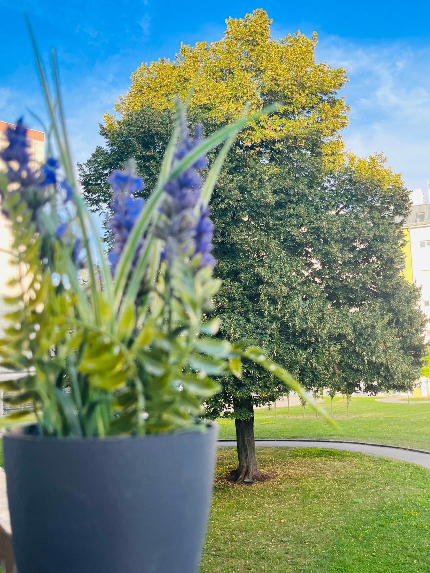 Lavender Home Appart Линц Екстериор снимка